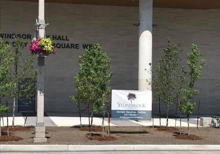 Exterior shot of commercial landscaping with Stonebrook Landscaping sign out front.