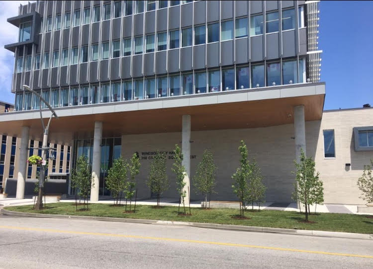 Wide angle shot of commercial landscaping for Windsor City Hall.