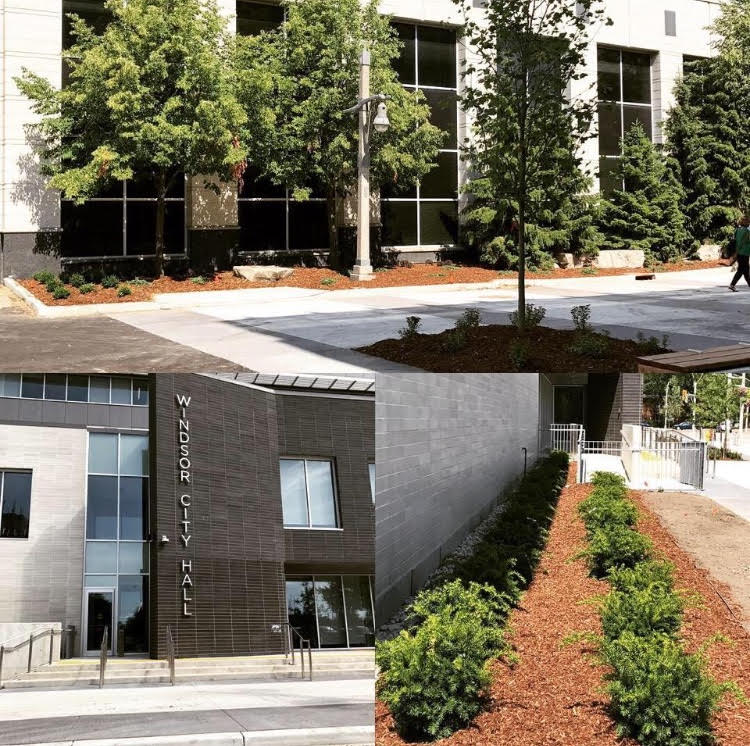 Collage of landscaping work done for Windsor City Hall.