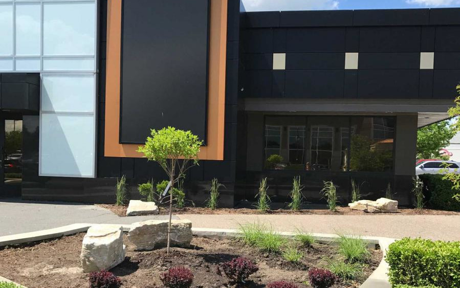 Shrub landscaping work done on a commercial property.