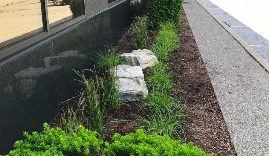 Shrub landscaping work done on a commercial property.