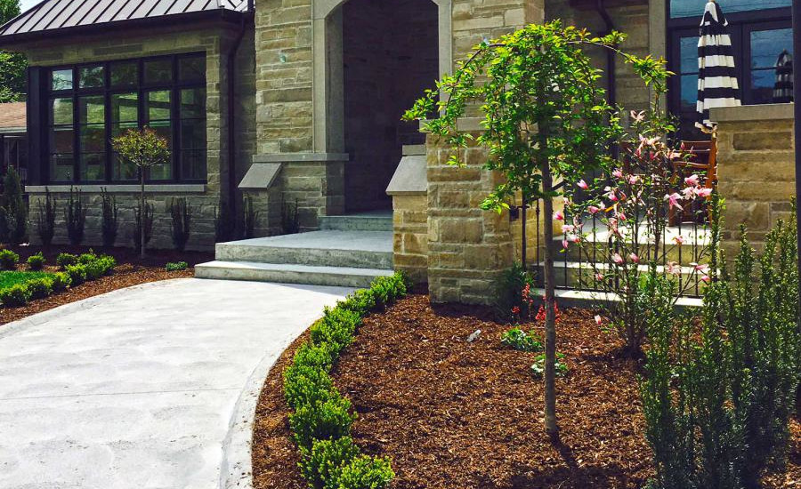 Residential mulch, shrubbery, and tree landscaping.