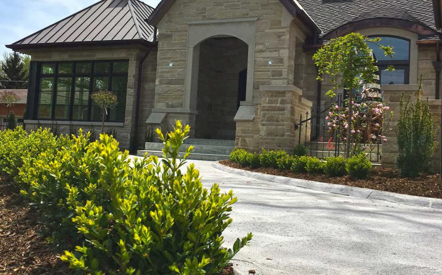 Residential mulch, shrubbery, and tree landscaping.