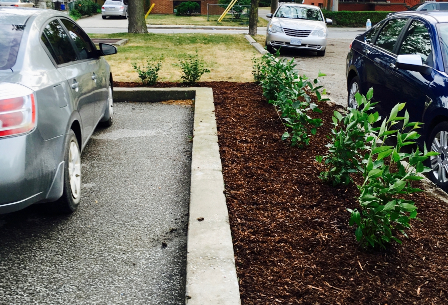 Shrub and mulch exterior work done for commercial properties.