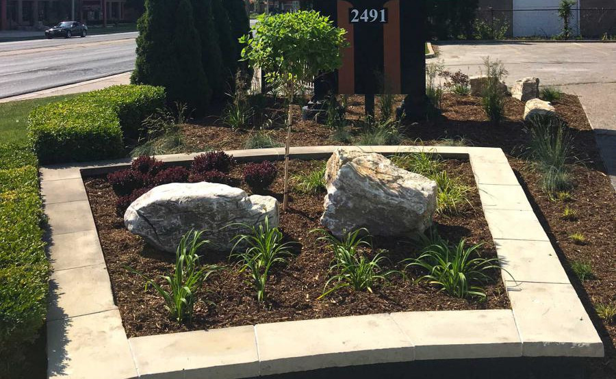 Commercial landscaping work done on Ouellette Ave.
