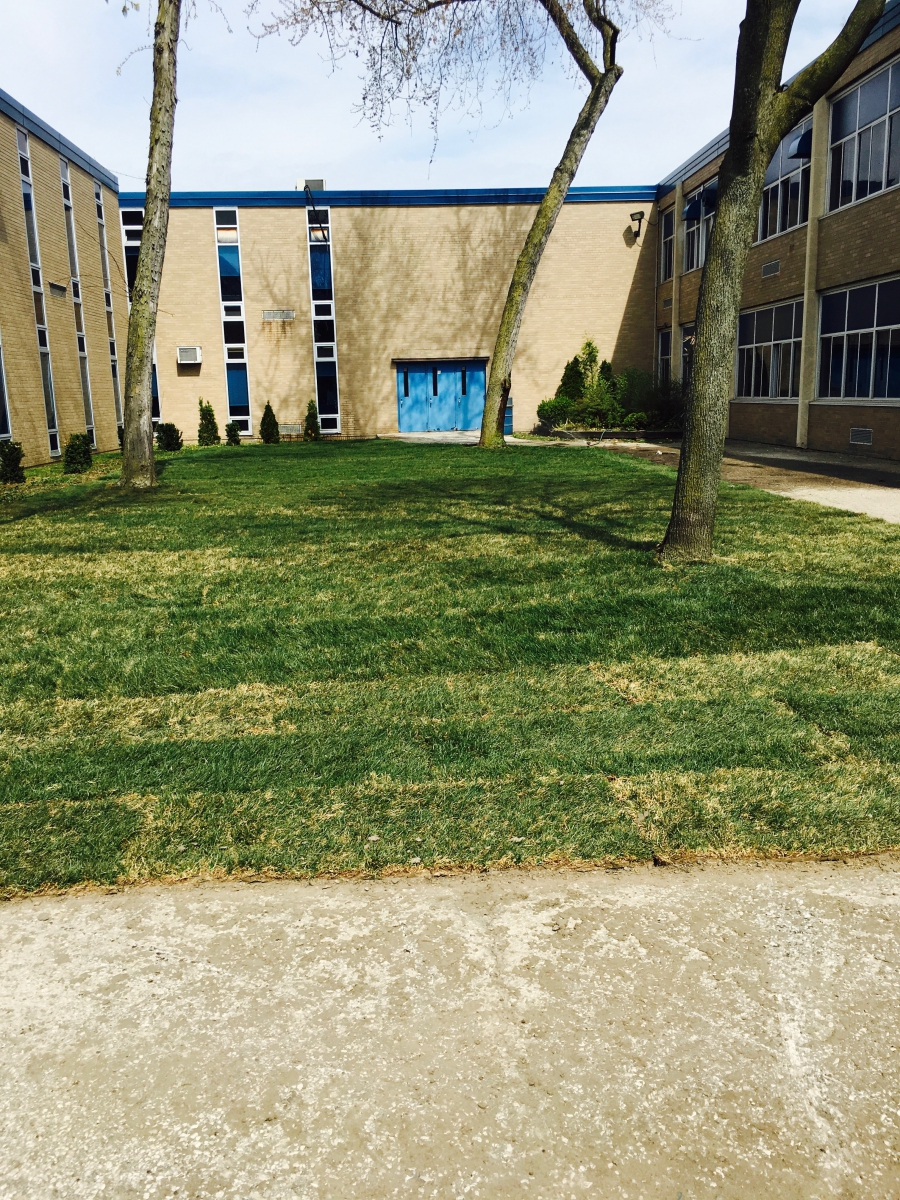 Commercial sod and lawn work.